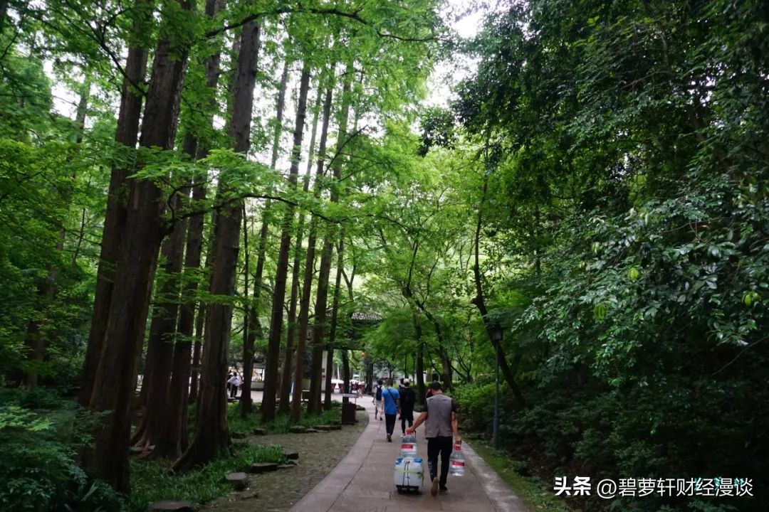 杭州虎跑公园旅游攻略,杭州虎山公园游玩攻略