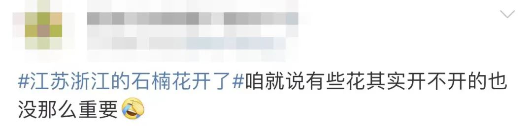 最近一种好臭的花,为什么这么臭的花还要种满条街