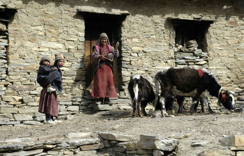 尼泊尔娶三姐妹当老婆的人,尼泊尔一妻多夫婚姻制度