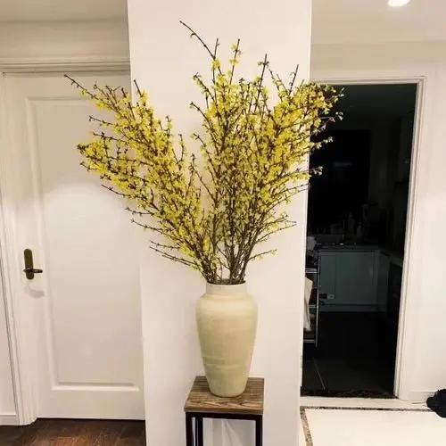 网红干树枝,网红水培干枝树