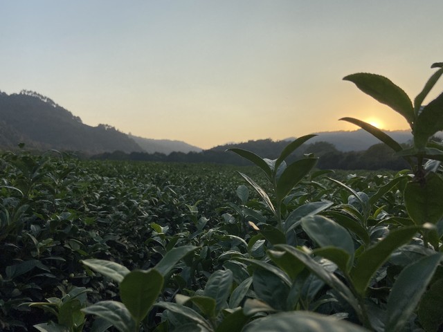 微商运营策划怎么做,微商运营推广方法有哪些