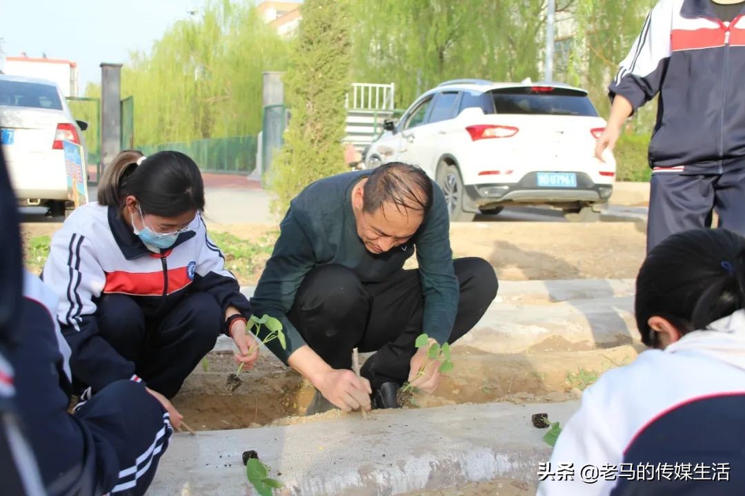 靖远四中校园图片,靖远四中校园风景