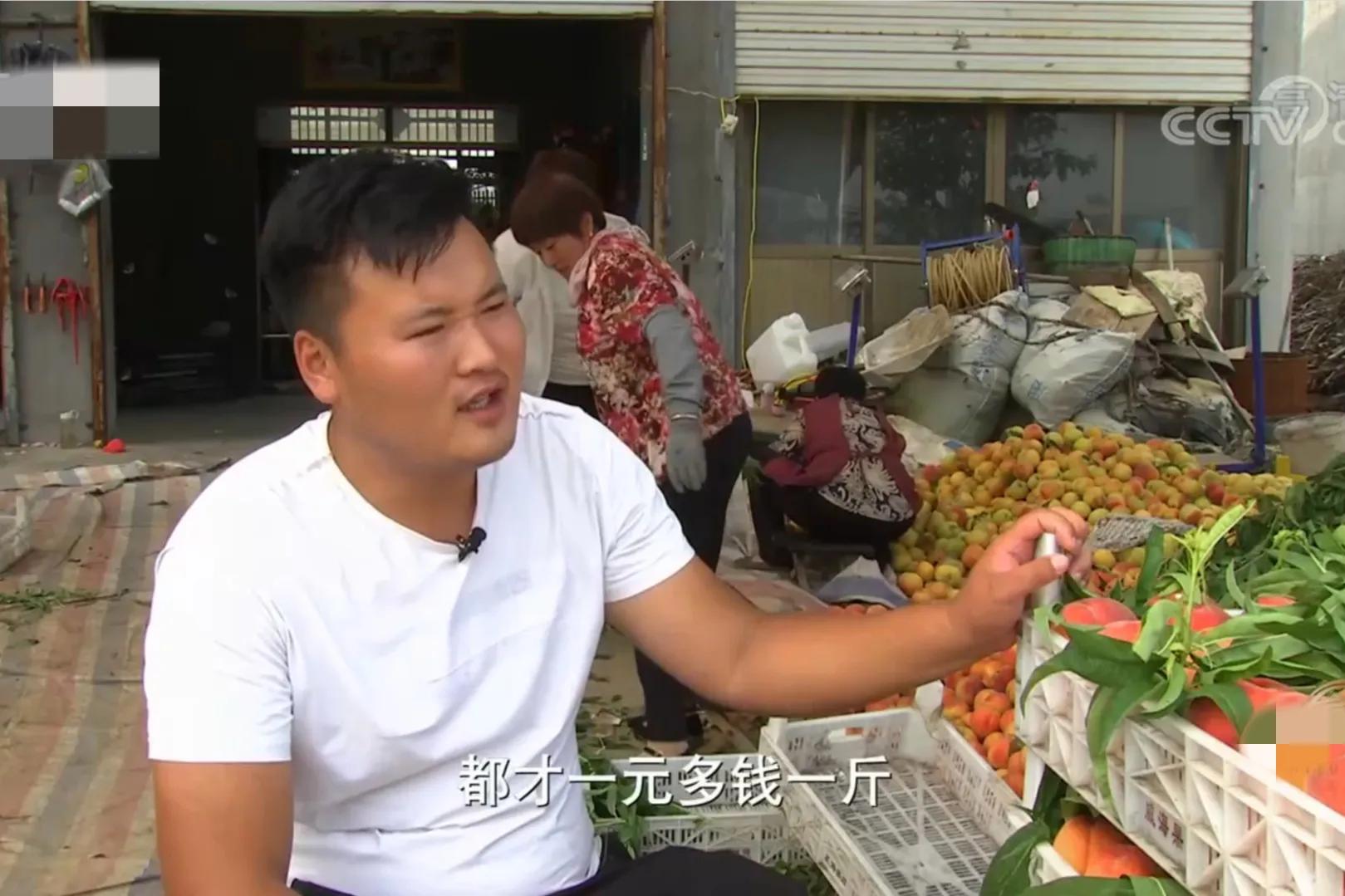 山东女子承包500亩荒山，如今荒山变成聚宝盆，一年收入900多万元