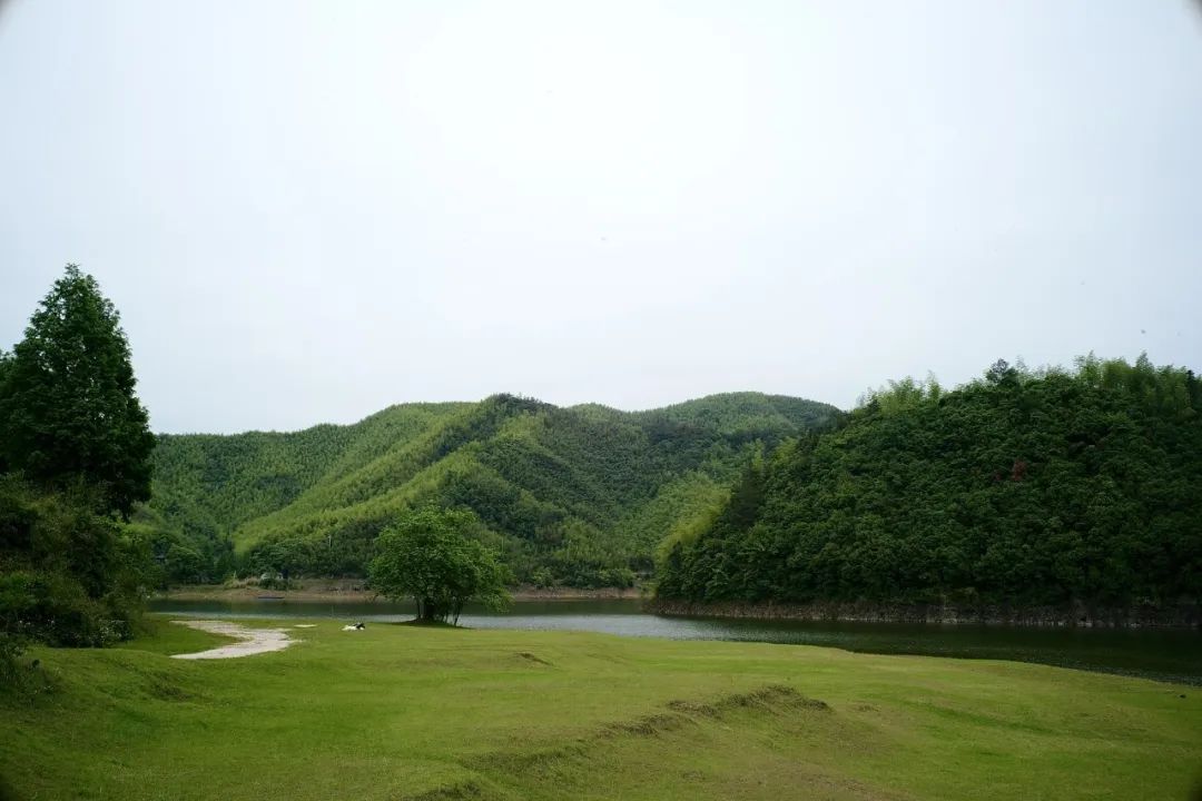 浙江市区度假酒店推荐,浙江轻奢酒店值得推荐