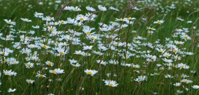 什么是沟通障碍如何改善人际沟通,如果与人沟通存在沟通障碍怎么办