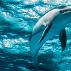 青岛十大热门景点,青岛市内旅游十大必去景点