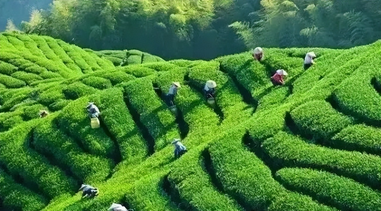 广州清远一日游必去景点,清远宝墩湖附近旅游攻略