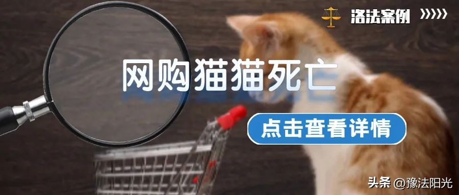 宠物店买的猫24天就死了怎么办,买的猫三年死亡可以索赔吗