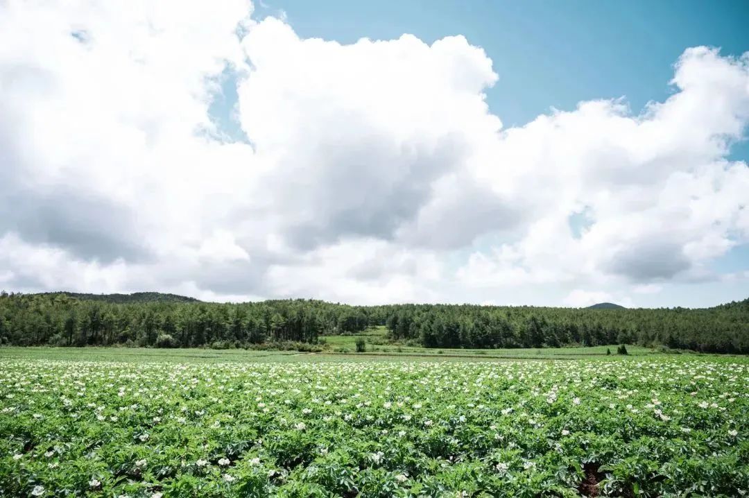丽江旅行结束出发香格里拉,丽江自驾露营免费景点推荐