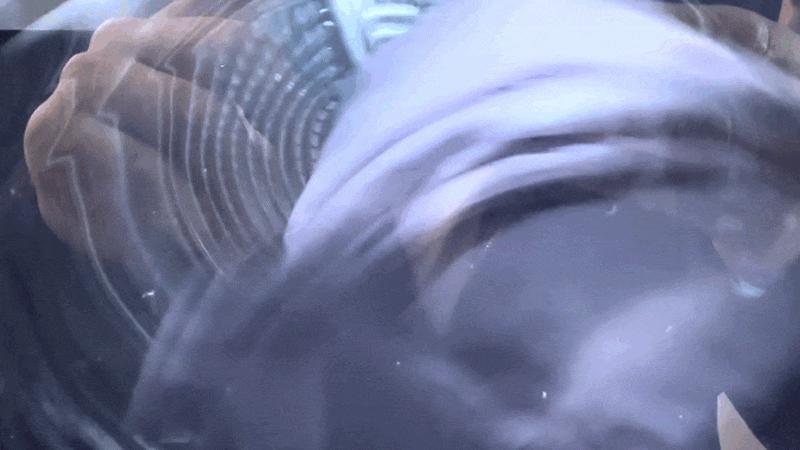 洗烘套装怎么选？双擎热泵好在哪？双十一选购攻略，一文讲透