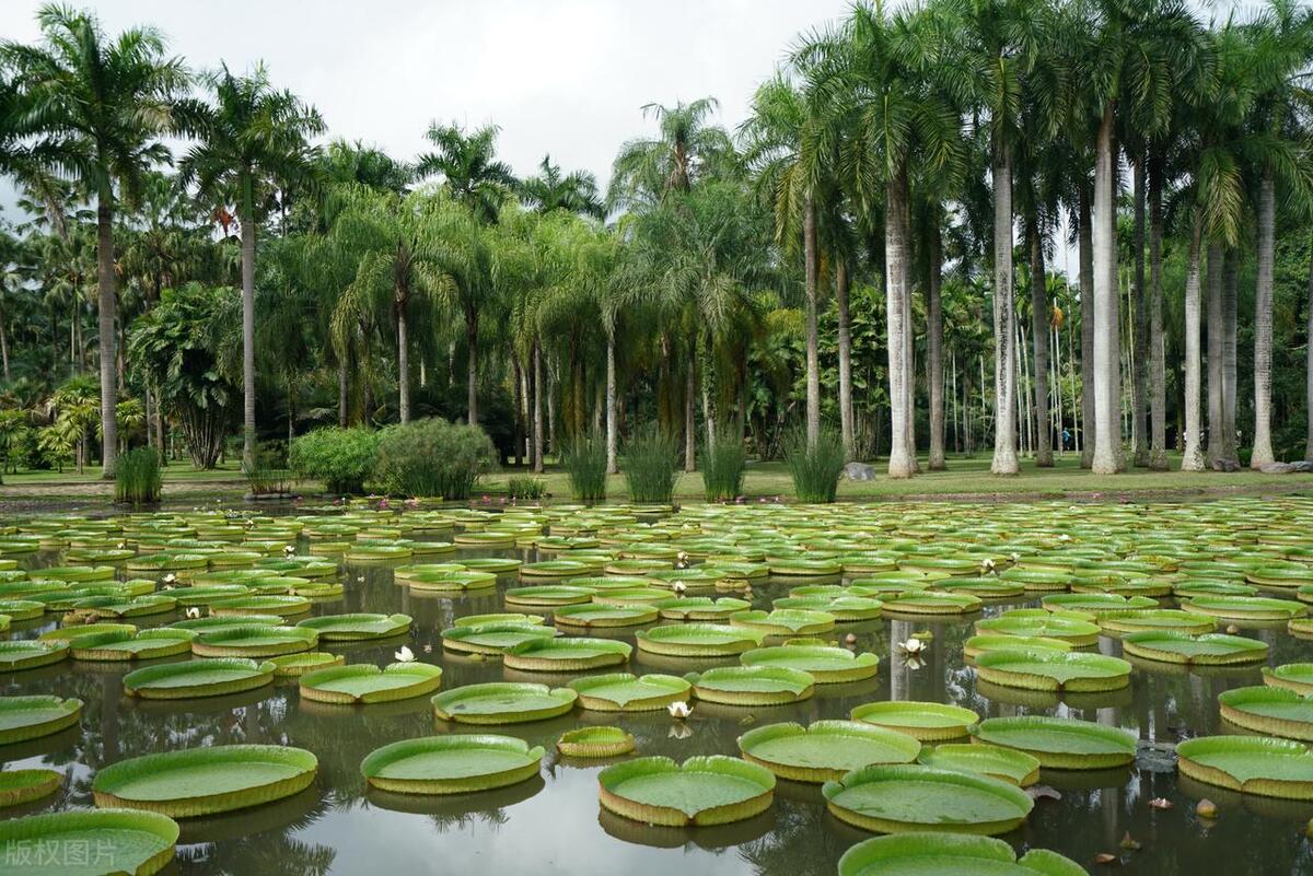 2022云南旅游景点攻略自由行,云南旅游玩得不过瘾