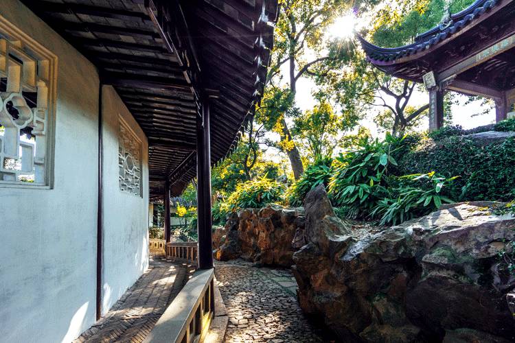 苏州一个新的人间天堂,东方威尼斯苏州视频