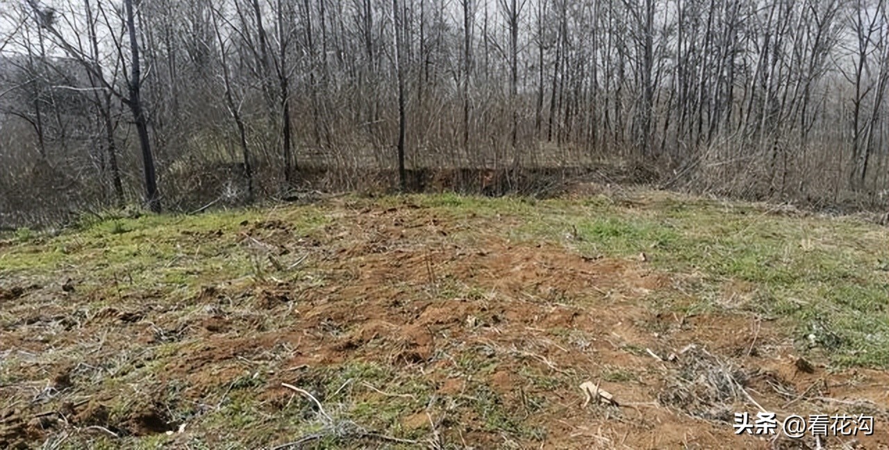 河南省漯河市舞阳县介绍视频,舞阳2007年照片