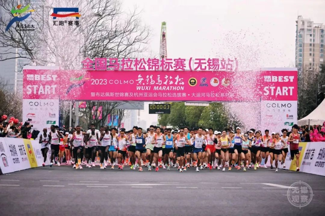 专业马拉松跑鞋十大排行榜,马拉松破二跑鞋多少钱