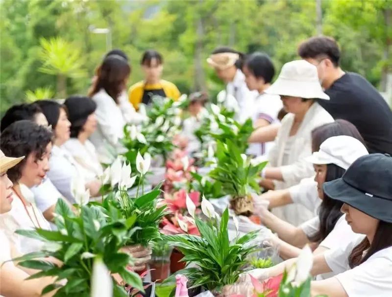 从小花店到年入900万元园艺名企，看温州绿趣的两次转型