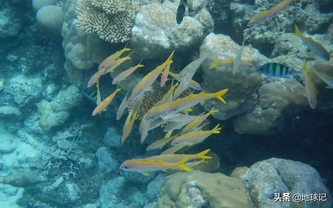 中国最大的渔岛,中国钓鱼岛在哪里