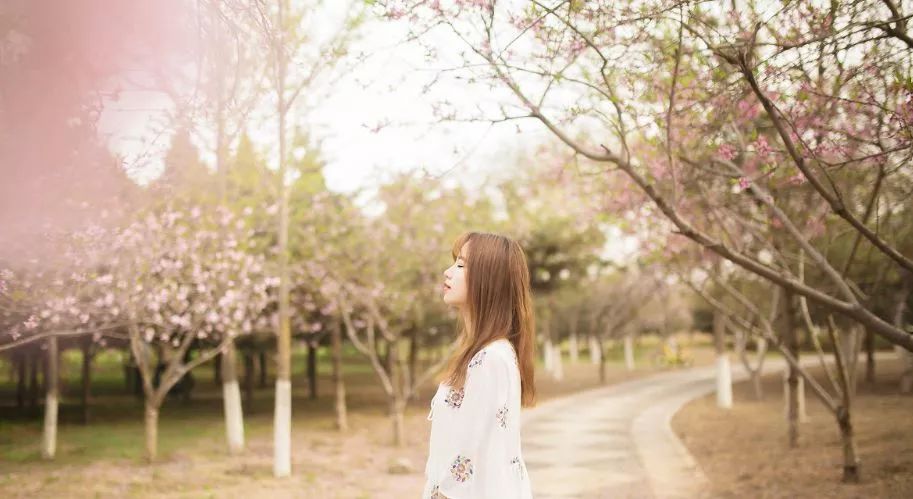 山东青岛发展最好的区,青岛有网红地区吗