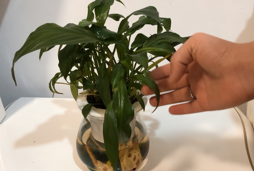 建议大家别买4种床,不管床多大床底最好别放三样东西