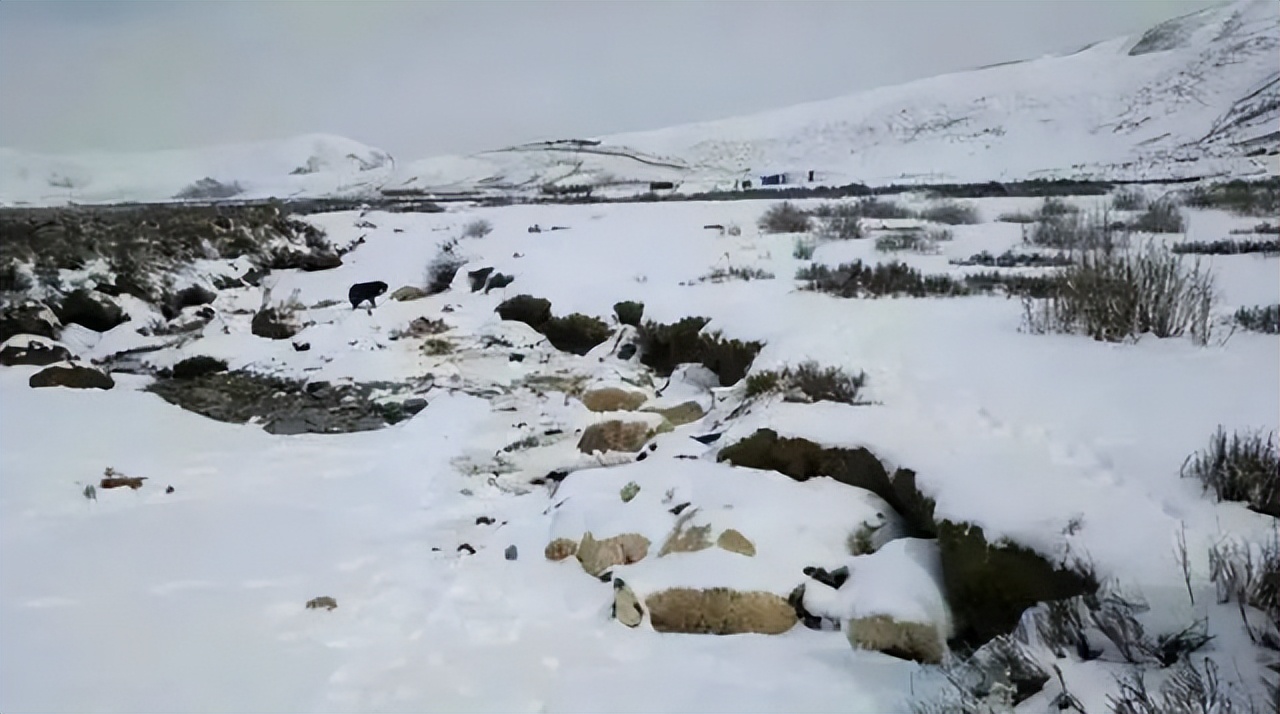 明代小冰河期有多冷,明朝的小冰河时期出现在什么时候