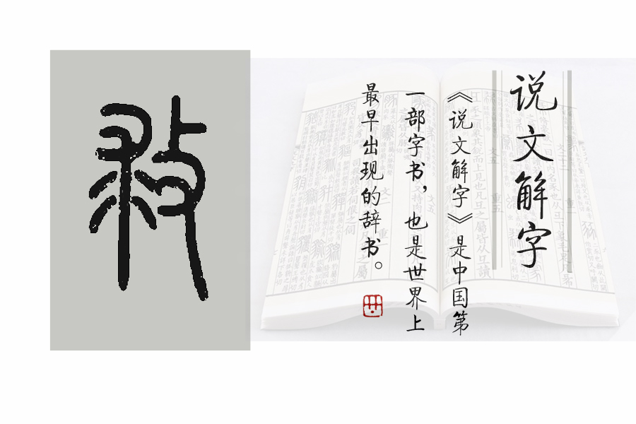 说文解字第1124课,说文解字第86集