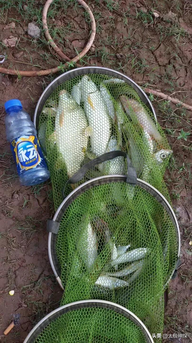 我理想的退休生活,退休后最理想的生活是什么