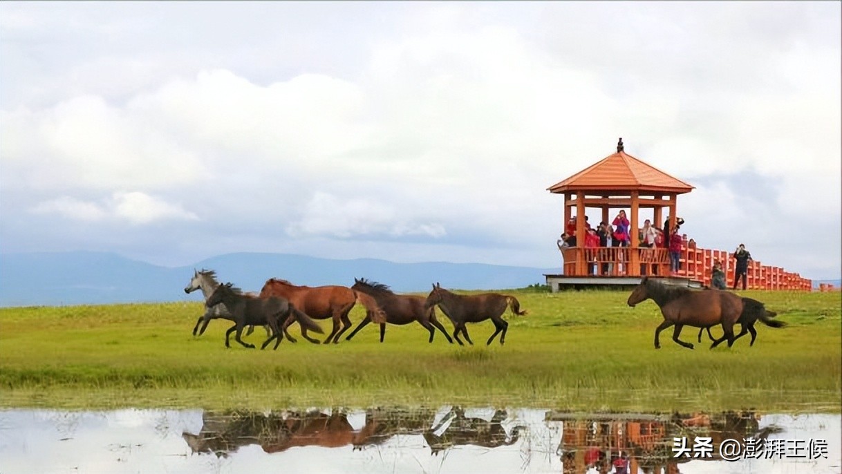 五一必去的网红打卡地 (那些让人失望的网红打卡景点)
