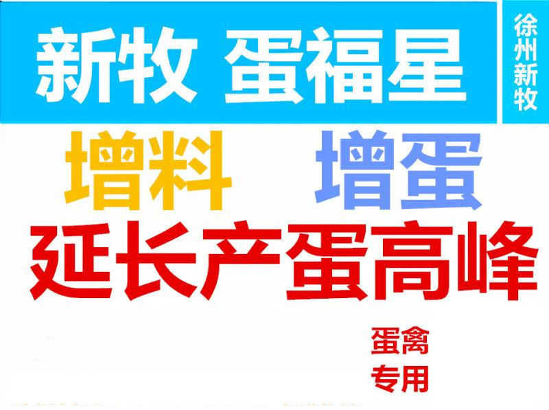 鸭子下软壳蛋是怎么回事,鸭子为什么一直下软皮蛋