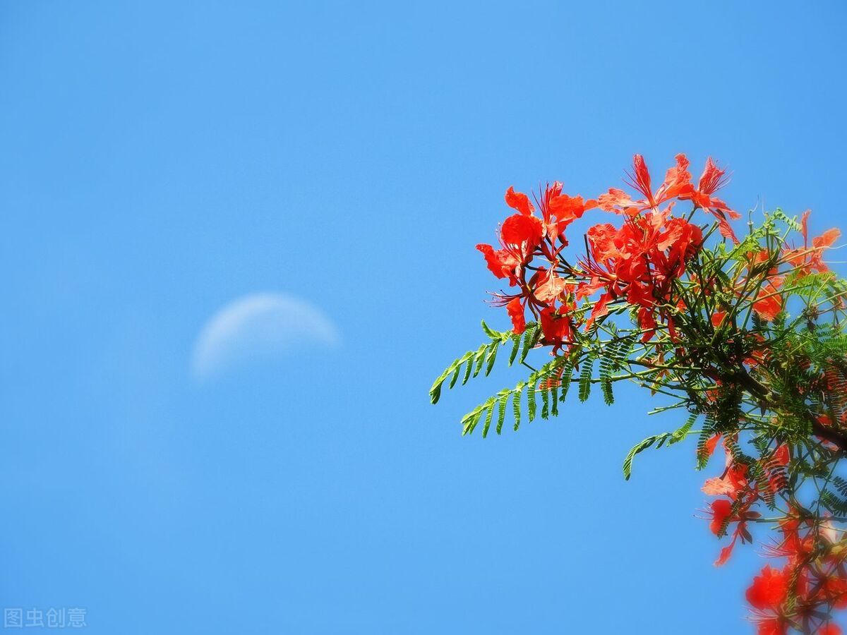 让一个人变得有自信的10件事情,一个人开始变得优秀的四种表现