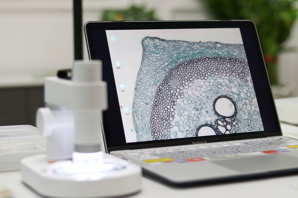 孩子从沉迷手机到主动学习,孩子从玩手机到认真学习的蜕变