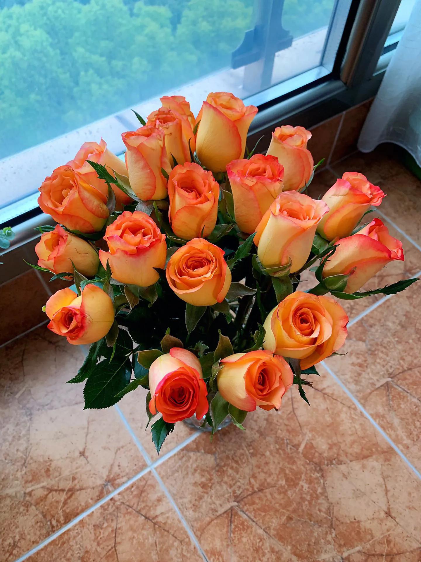 一朵白色玫瑰花的花语是什么,粉色玫瑰花和粉色绣球花花语