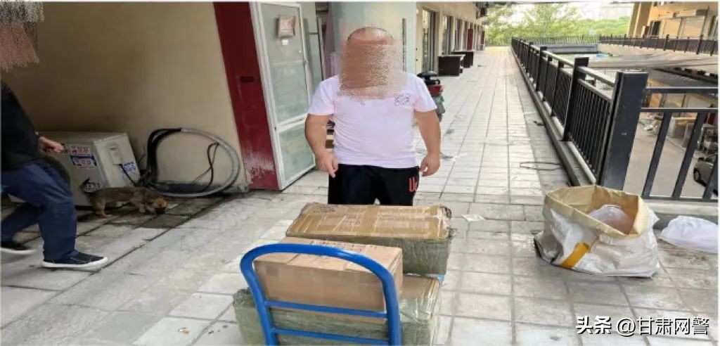 网警防诈记,网警处罚公示