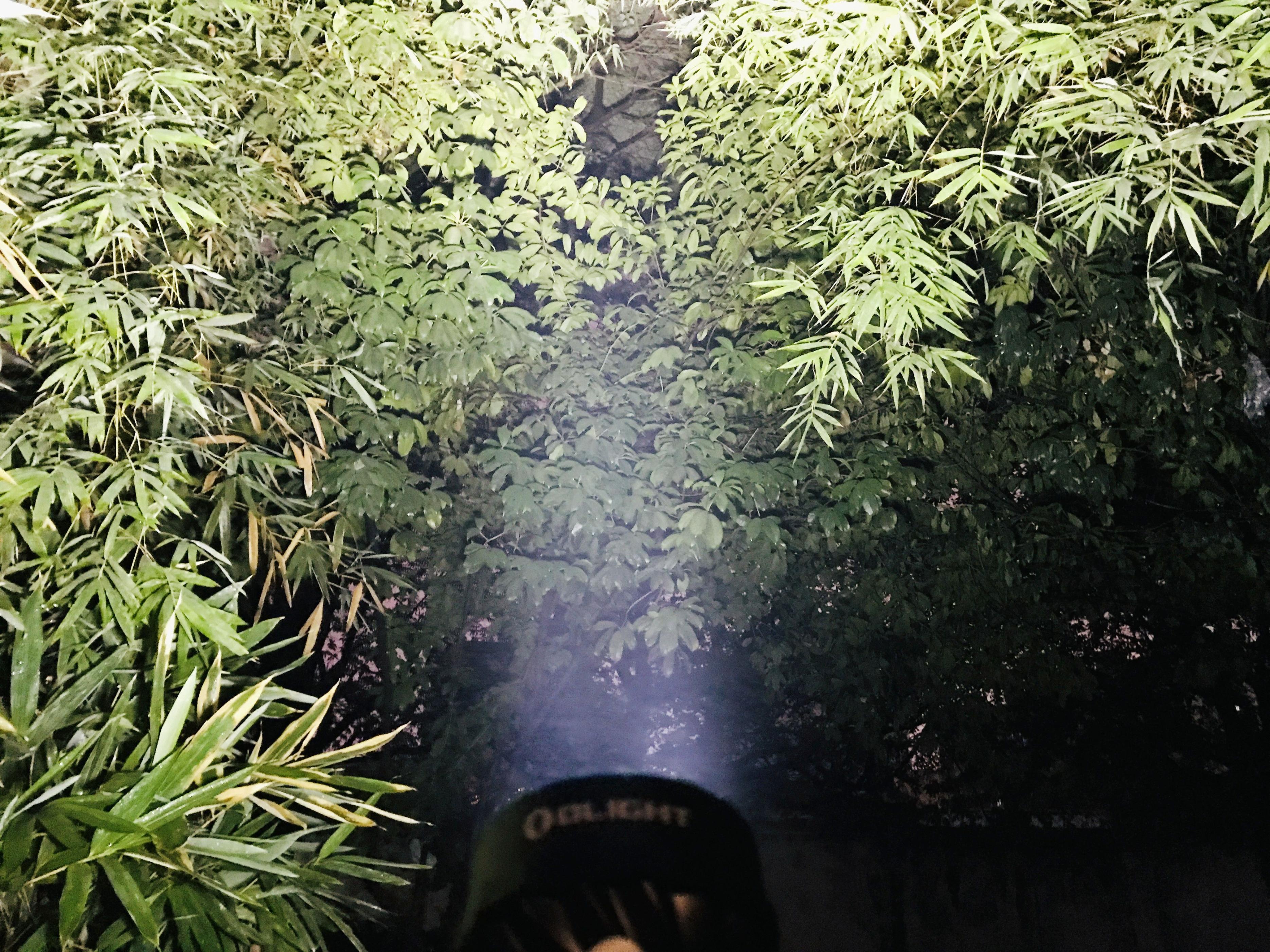 男人要有光，掠黑夺暗，无惧山海