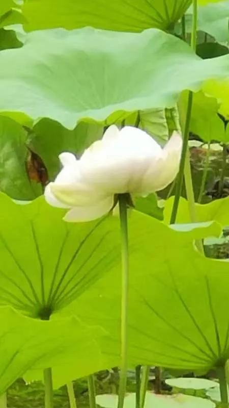 投资理财机会在哪里,投资理财怎么入门第一年才能赚钱