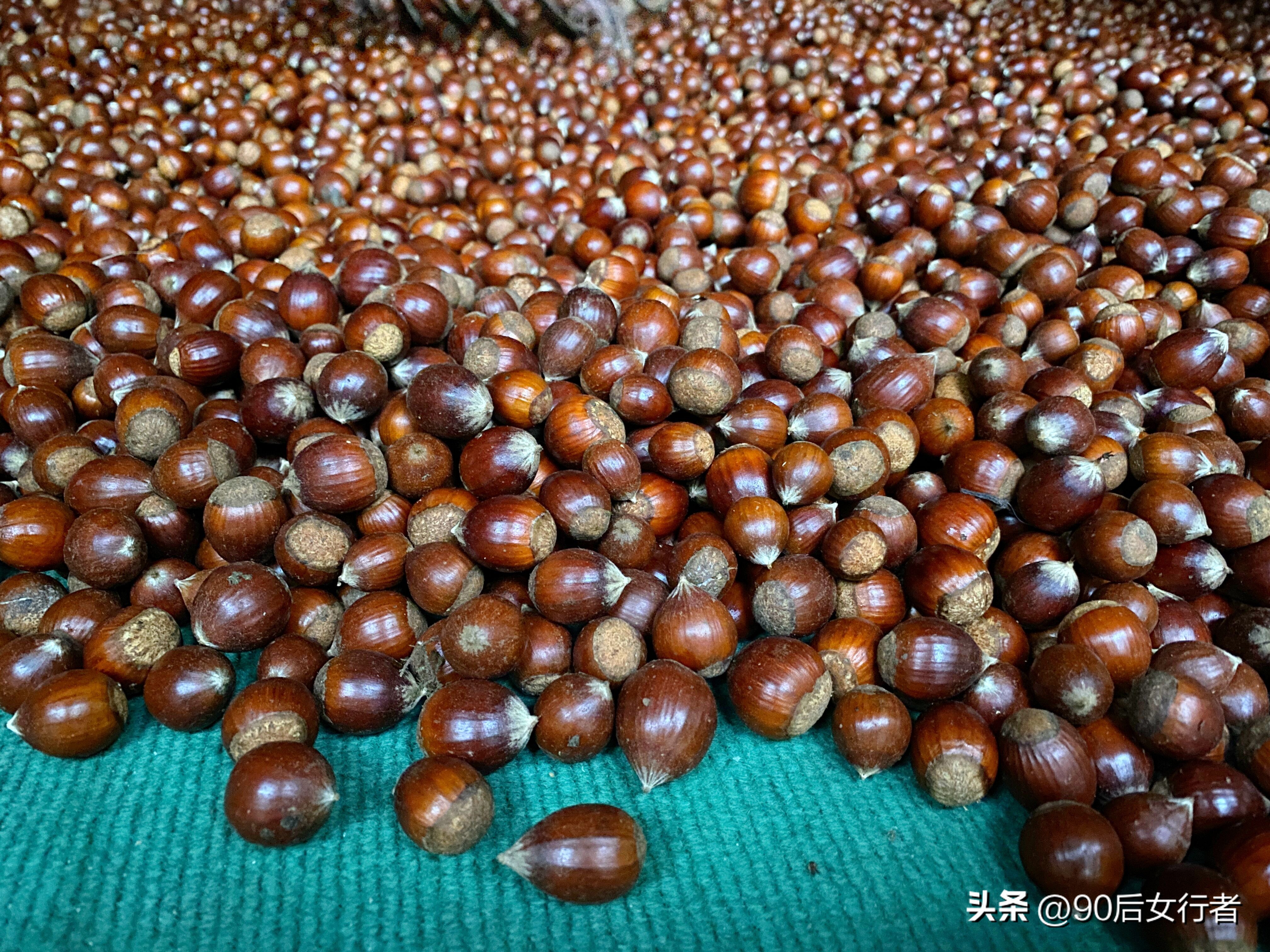 走进山间的小路感受大自然,成都深山老林旅游最好去处