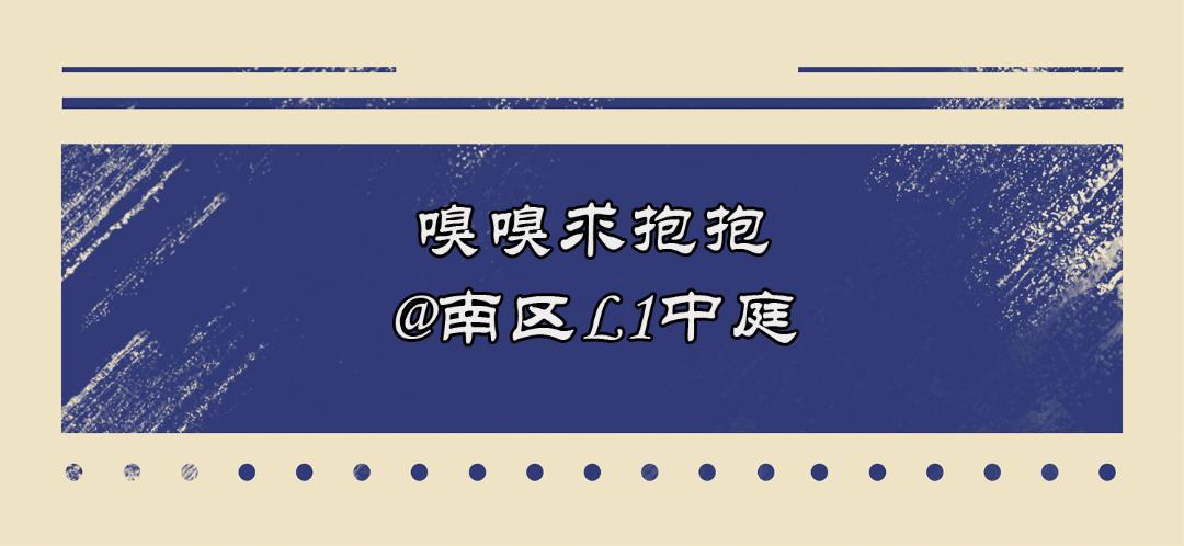 魔法世界大狂欢,魔法世界大狂欢入口