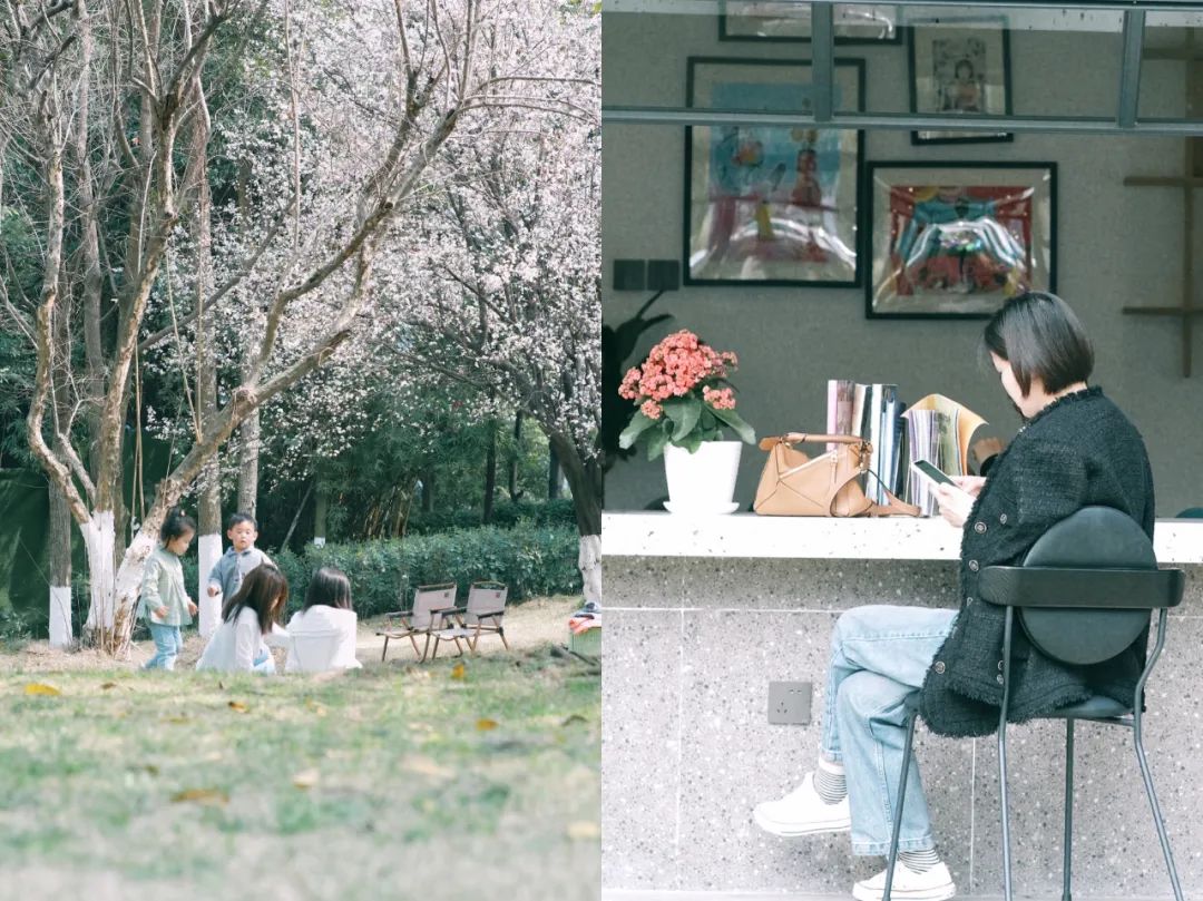 成都有哪些公园值得一去,成都必去的公园排行榜最新名单