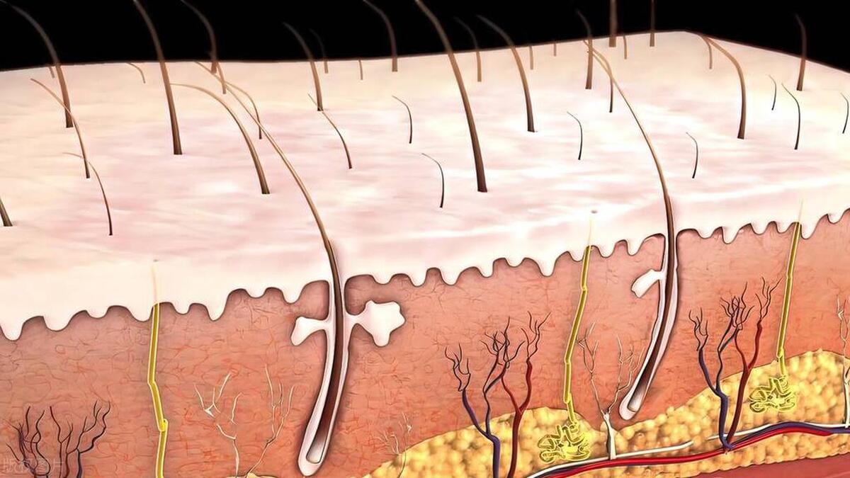 两月未互动，背后抓痕谜底，医生解释疥螨感染真相，挽救婚姻危机