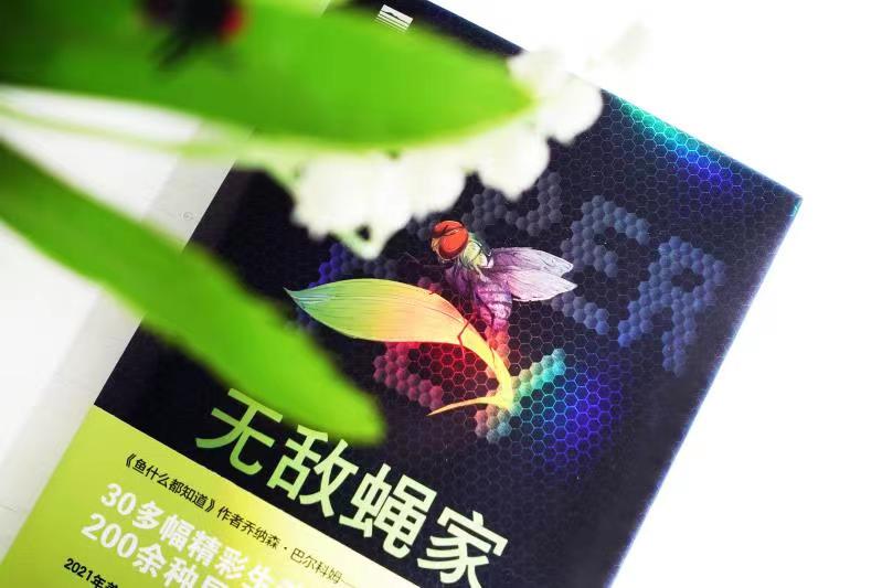 果蝇、蚊子、食虫虻……这些双翅目昆虫的成功秘籍改变我们看待自然的方式