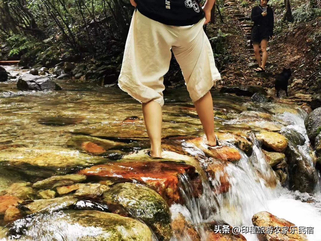 浙江高山避暑农家乐,浙江避暑最好包吃住的农家乐推荐