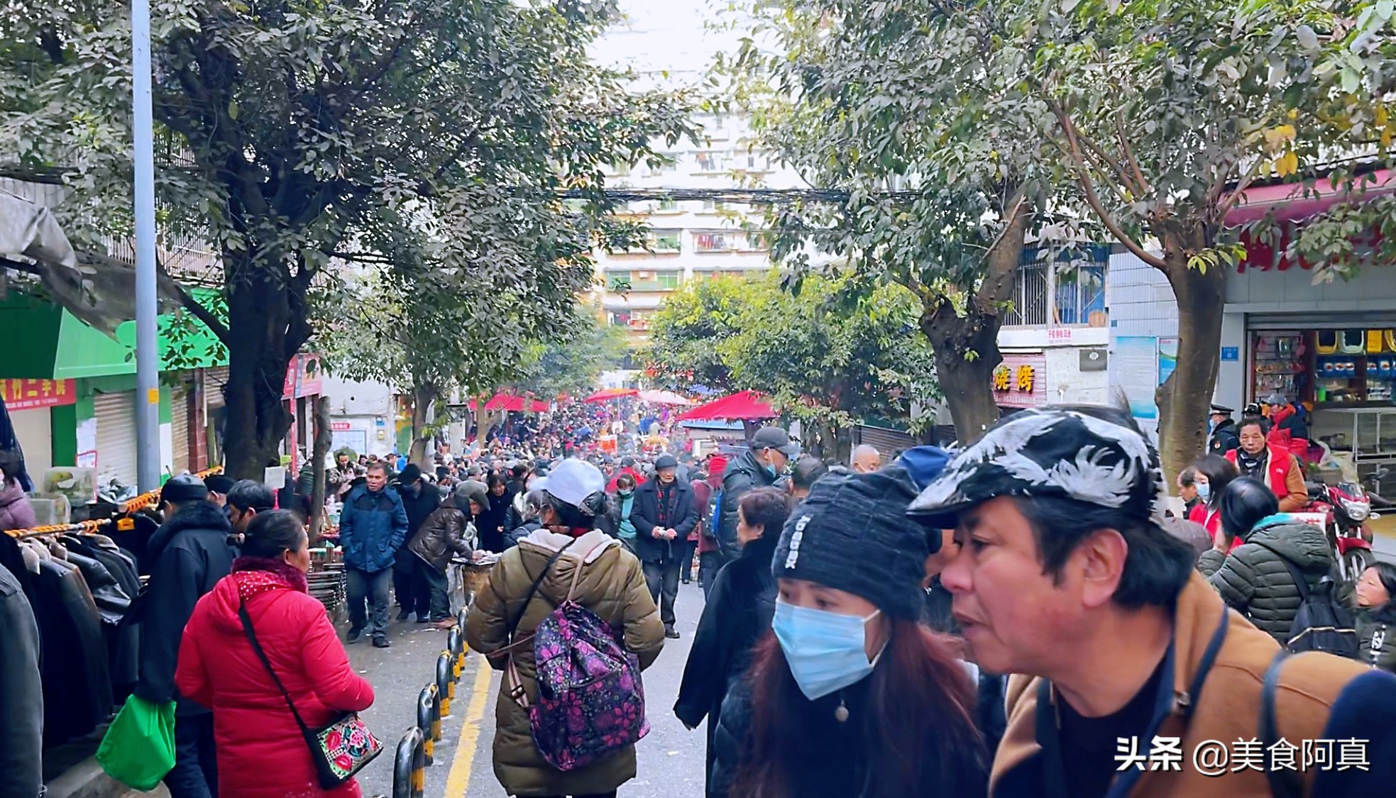 重庆狗儿市场有什么吃的,重庆主城狗市在哪里