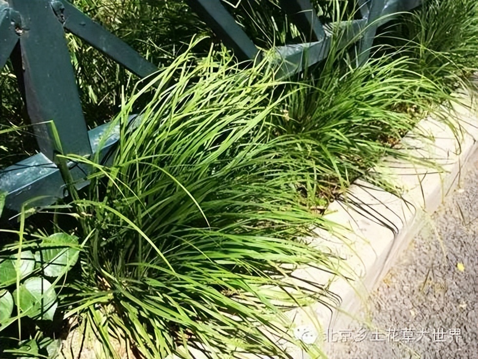 缁挎櫘鏂瑰渾鑺卞崏绉戞妧鏈夐檺鍏徃,缁挎櫘鏂瑰渾