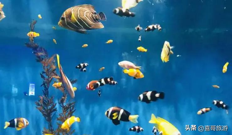 聊城值得一去的旅游景点,聊城有什么值得玩的地方