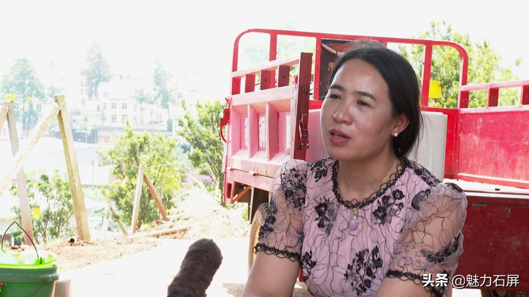 一果四味是什么水果,一果四味