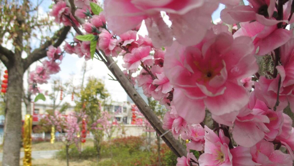 老人越来越吵话多,八十多岁老人整天吵架为什么