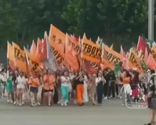 考研名师汤家凤事件,汤家凤舍身炸粪坑啥意思