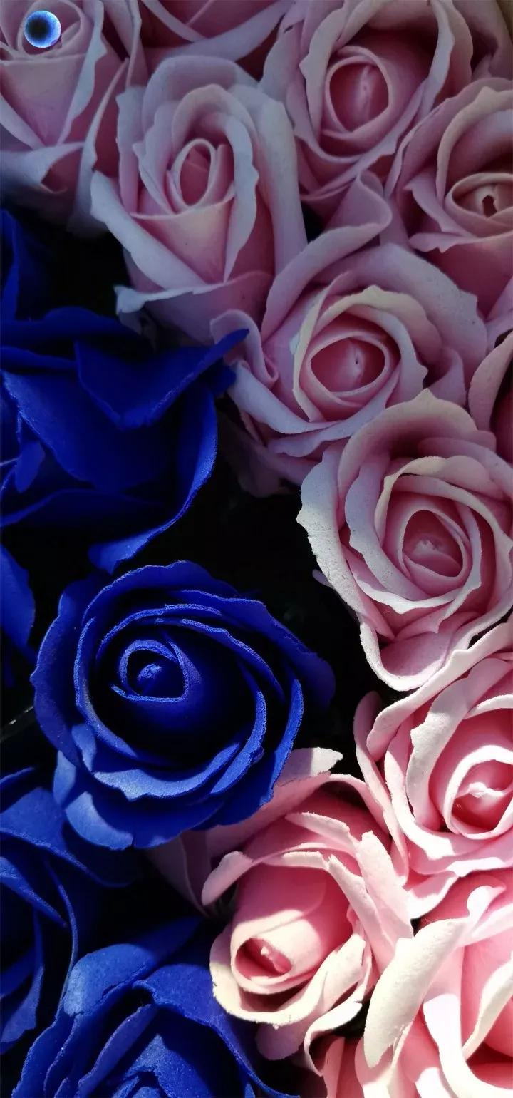 原图壁纸：Andriod手机挖孔壁纸,第一期