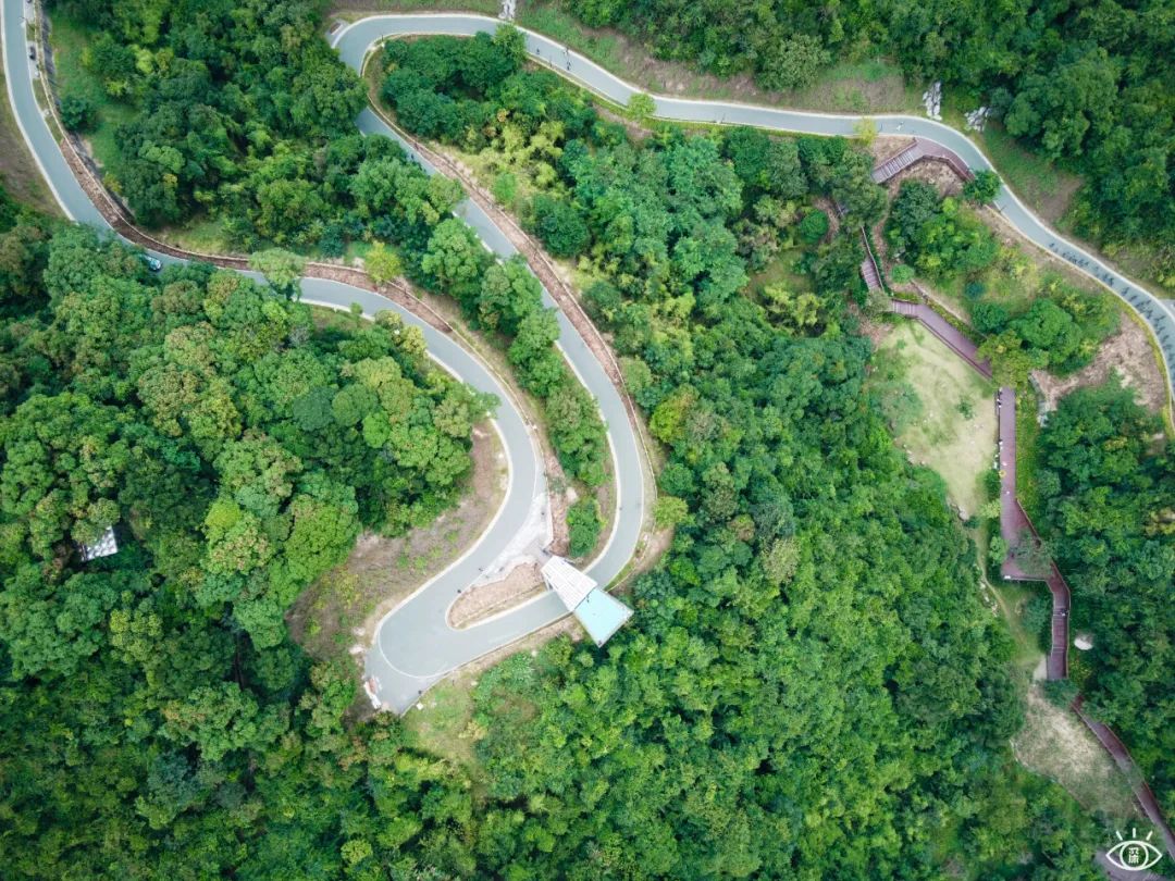 深圳周末休闲放松的好地方有哪些,周末去哪玩深圳推荐几个地方