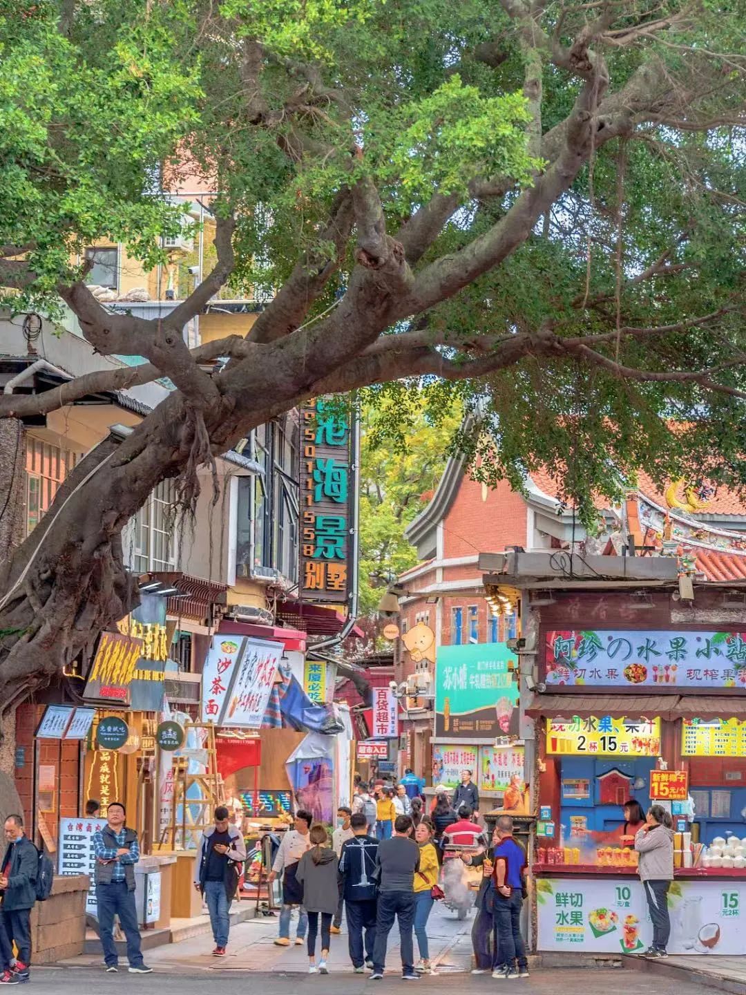 2022年旅游为什么那么便宜 (2022国内旅游)