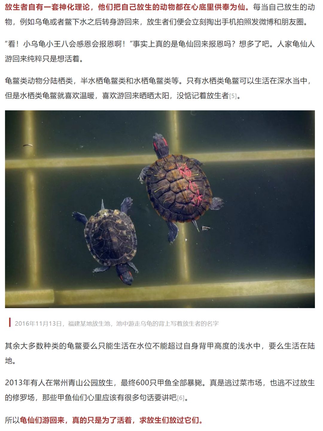 放生矿泉水疑似为求福,佛教徒放生矿泉水