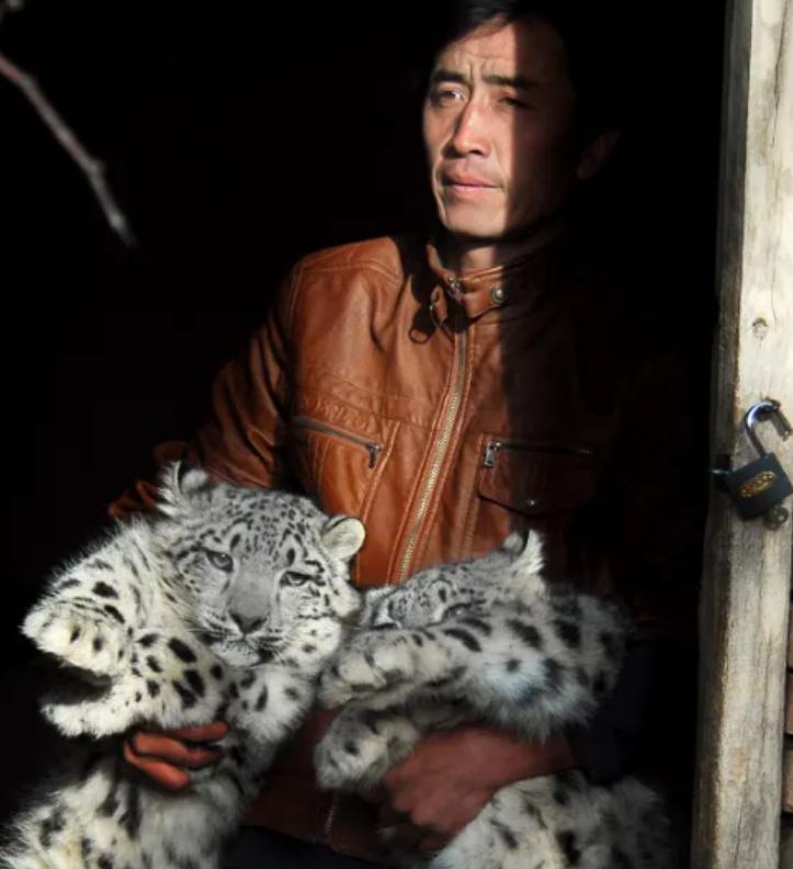 08年新疆牧民捡两只猫崽,新疆牧民山上捡到两只野猫